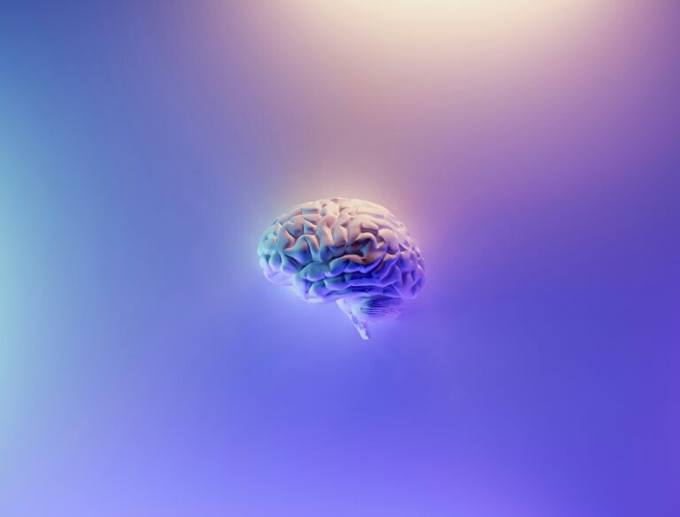 Read the article: The 5 leading intelligence specialists in France in 2026
